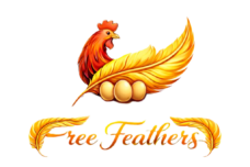 free featyher logo